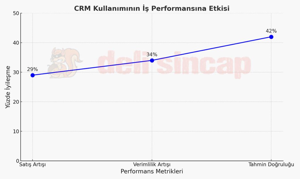 CRM Kullanımının İş Performansına Etkisi